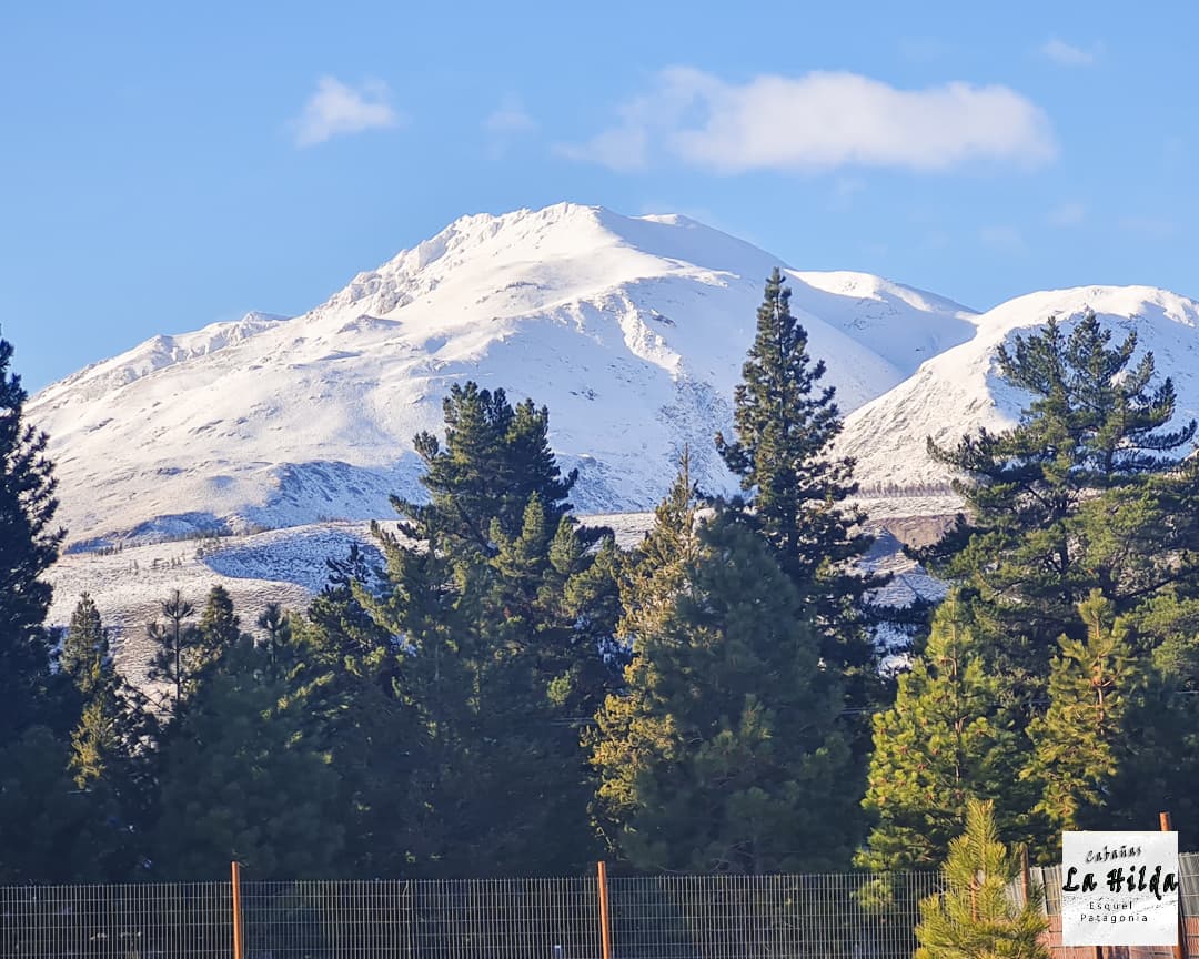 Montaña con picos nevados bajo cielo azul, con pinos verdes y valla en primer plano.